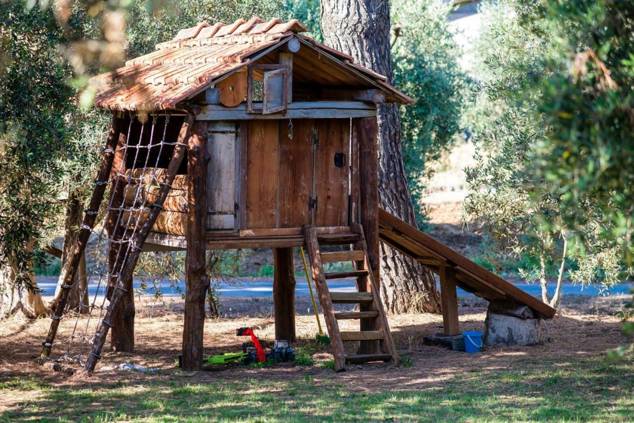 Agriturismo Fontetrilla Orbetello Zewnętrze zdjęcie